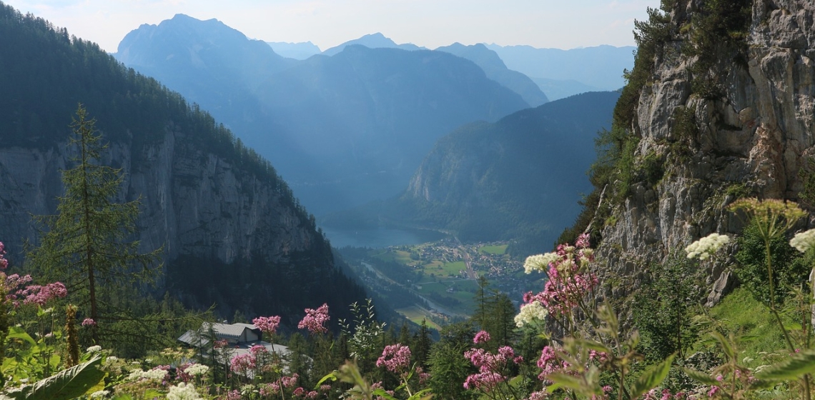 Paardensport Paardensport bij B&B De Minnetuin in Wachtebeke